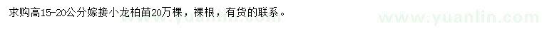 求購高15-20公分嫁接小龍柏苗