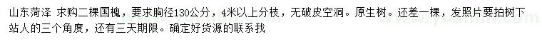 求購(gòu)胸徑130公分國(guó)槐