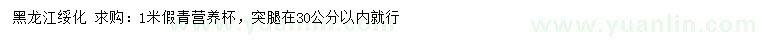求購(gòu)1米假青