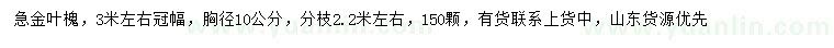 求購(gòu)胸徑10公分金葉槐