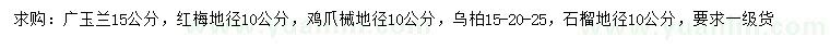 求購廣玉蘭、紅梅、雞爪械等
