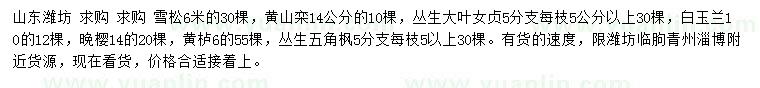 求購(gòu)雪松、黃山欒、叢生大葉女貞等
