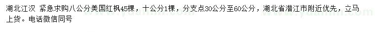 求購8、10公分美國紅楓