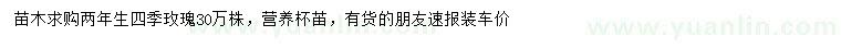 求購兩年生四季玫瑰