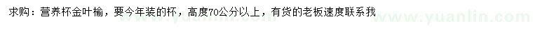 求購高度70公分以上金葉榆