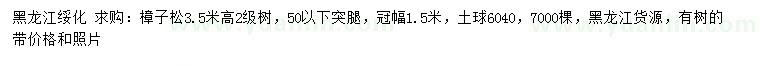求購高3.5米樟子松
