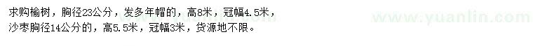 求購胸徑23公分榆樹、胸徑14公分沙棗