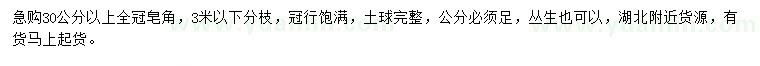 求購30公分以上皂角