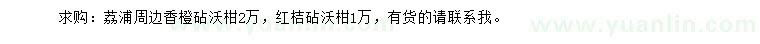 求購香橙砧沃柑、紅桔砧沃柑