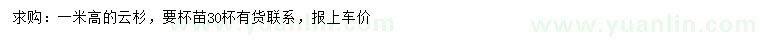 求購高1米云杉