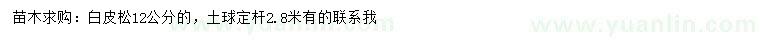 求購(gòu)12公分白皮松