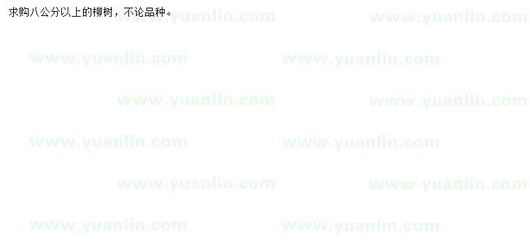 求購8公分柳樹