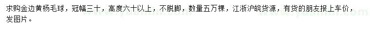 求購(gòu)高度60公分以上金邊黃楊毛球