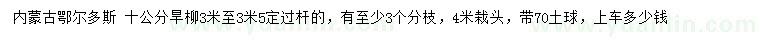 求購10公分旱柳