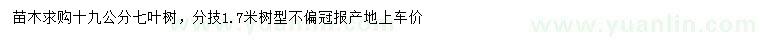 求購(gòu)19公分七葉樹