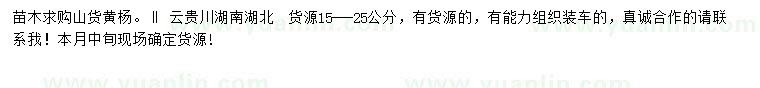 求購15-25公分黃楊