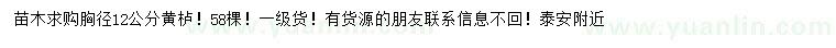 求購胸徑12公分黃櫨