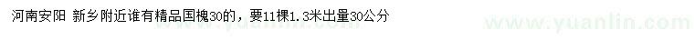 求購(gòu)1.3米出量30公分精品國(guó)槐
