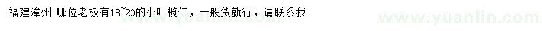求購18-20公分小葉欖仁