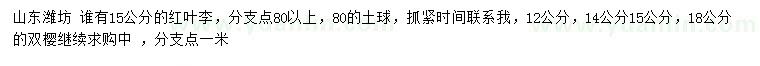 求購12、14、15、18公分紅葉李