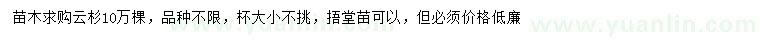 求購云杉