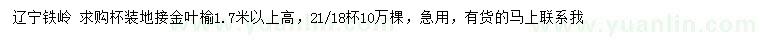 求購高1.7米以上地接金葉榆