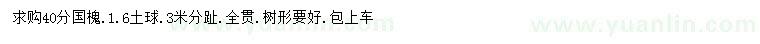 求購(gòu)40公分國(guó)槐