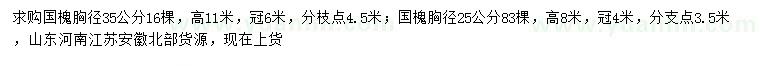 求購(gòu)胸徑25、35公分國(guó)槐