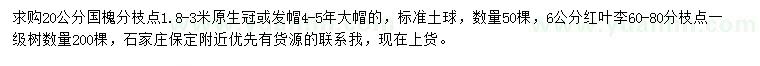 求購20公分國槐、6公分紅葉李