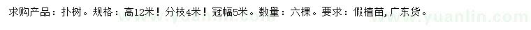 求購(gòu)高12米樸樹(shù)