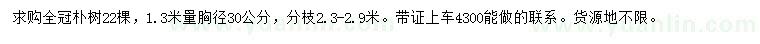 求購1.3米量胸徑30公分全冠樸樹