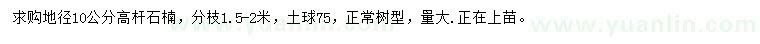 求購(gòu)地徑10公分高桿石楠