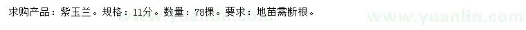 求購11公分紫玉蘭