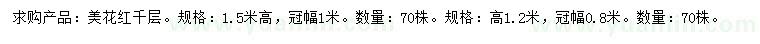 求購高1.5米美花紅千層