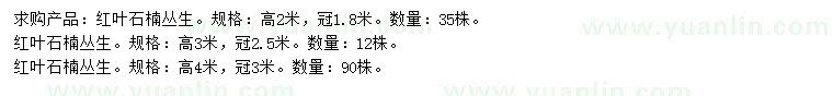 求購高2、3、4米叢生紅葉石楠