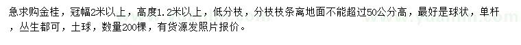求購冠幅2米以上金桂