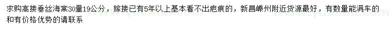 求購(gòu)30量19公分高接垂絲海棠