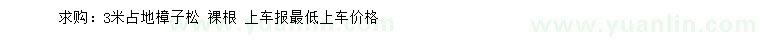 求購3米占地樟子松