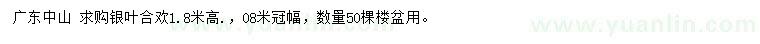 求購高1.8米銀葉合歡