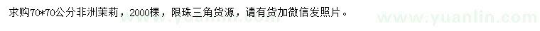 求購(gòu)70*70公分非洲茉莉