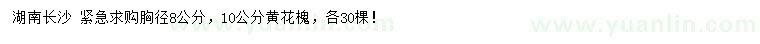 求購(gòu)胸徑8、10公分黃花槐