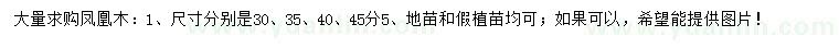 求購30、35、40、45公分鳳凰木