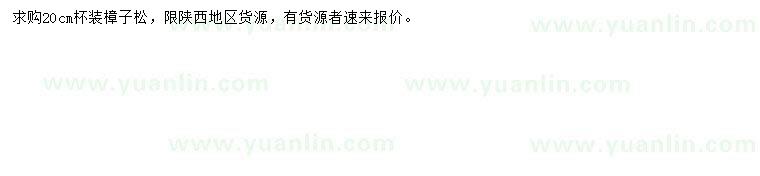 求購(gòu)20公分樟子松