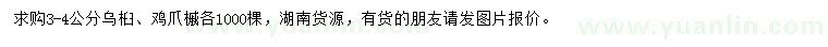 求購3-4公分烏桕、雞爪槭
