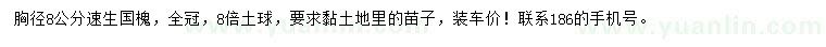 求購胸徑8公分速生國槐