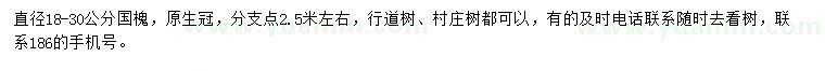 求購直徑18-30公分國槐