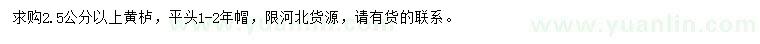 求購2.5公分以上黃櫨