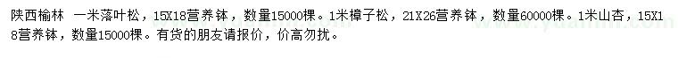 求購落葉松、樟子松、山杏