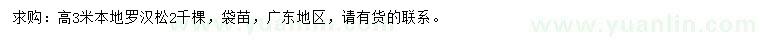 求購高3米本地羅漢松
