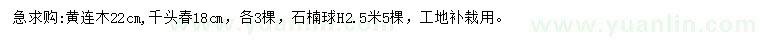 求購黃連木、千頭椿、石楠球